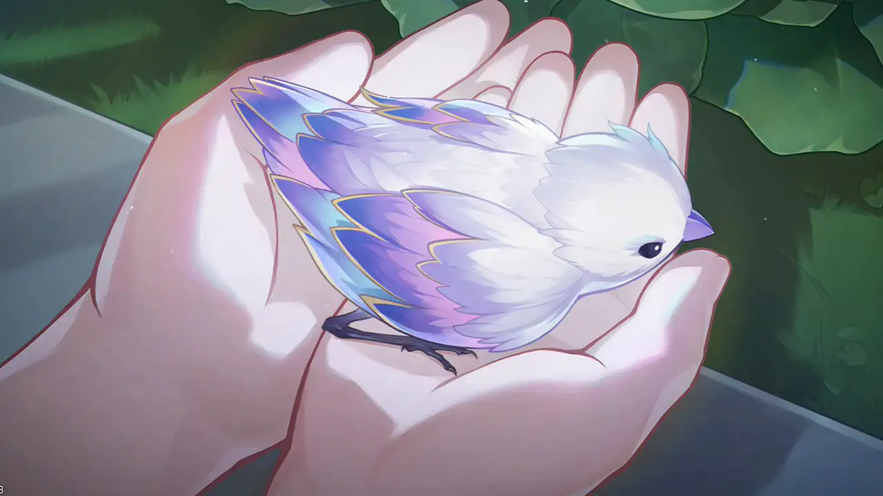 boxmoe_header_banner_img