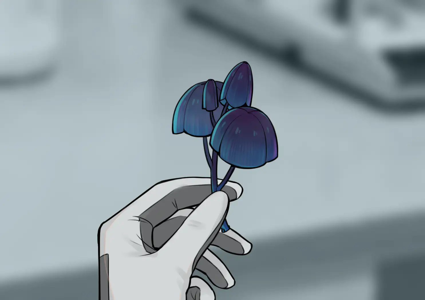 boxmoe_header_banner_img