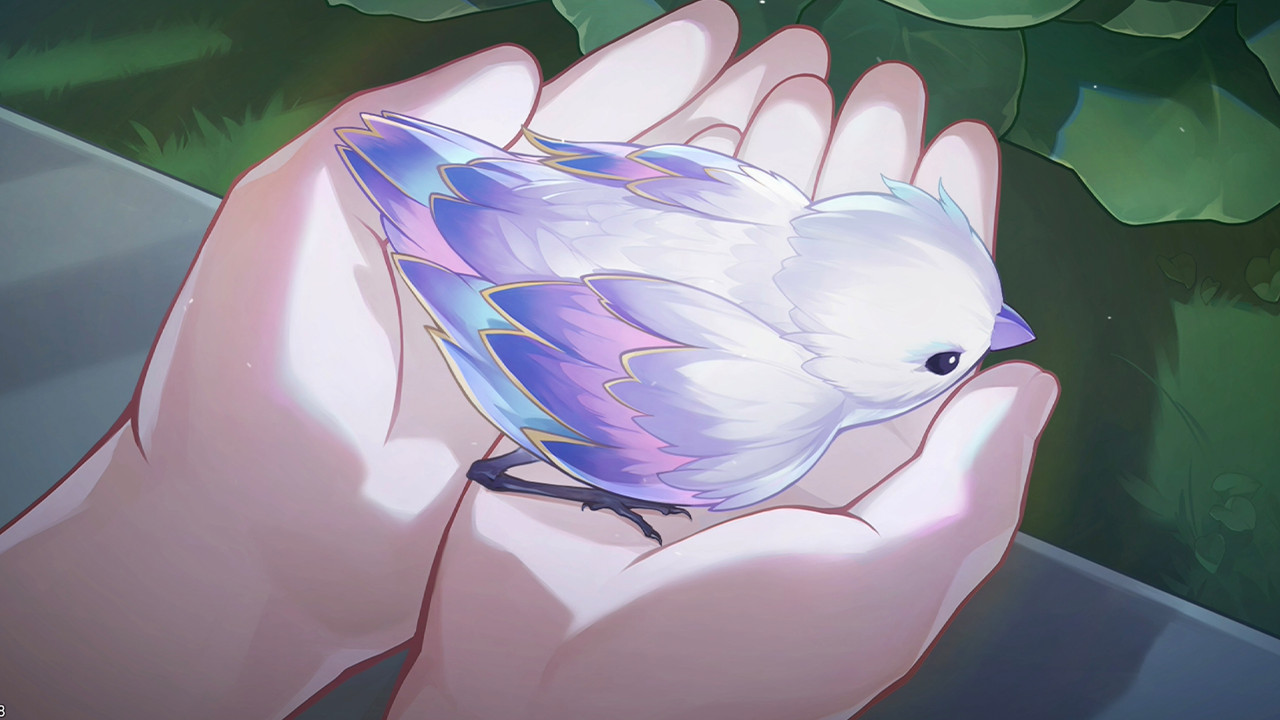 boxmoe_header_banner_img